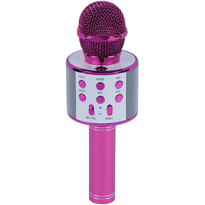 میکروفون اسپیکر گودفری WS-858