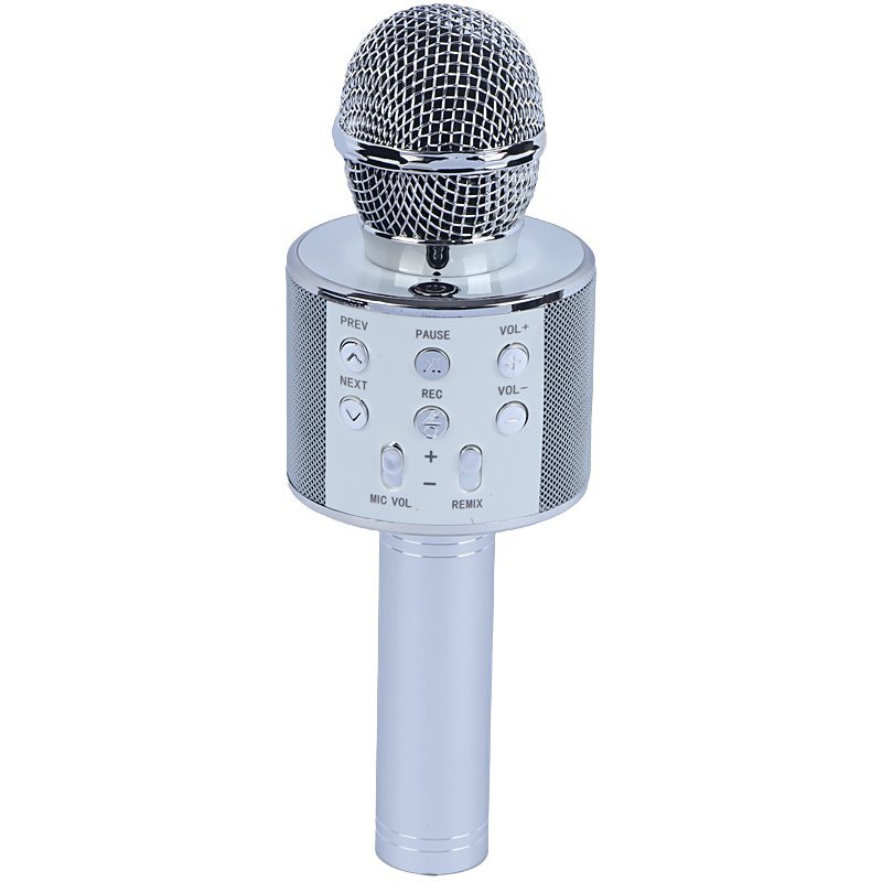میکروفون اسپیکر گودفری WS-858