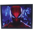 تابلو شاسی طرح Spider-Man سایز 30*40 سانتی متر کد 7