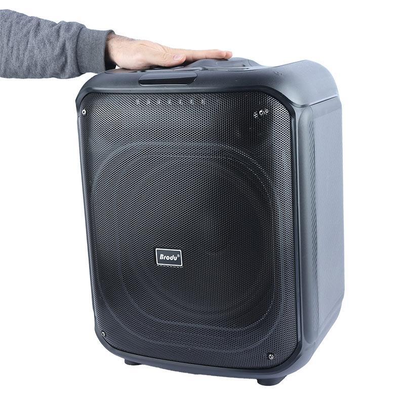 اسپیکر بلوتوثی برودو BTS-2187 + میکروفون