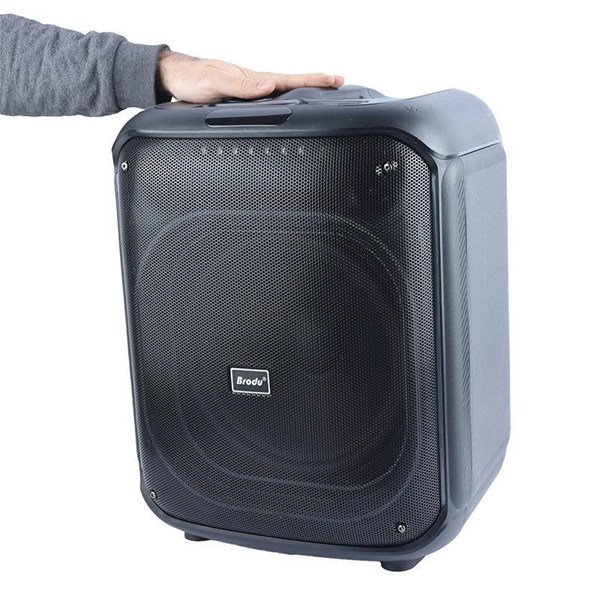 اسپیکر بلوتوثی برودو BTS-2187 + میکروفون