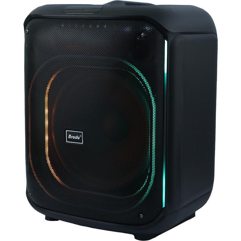 اسپیکر بلوتوثی برودو BTS-2187 + میکروفون