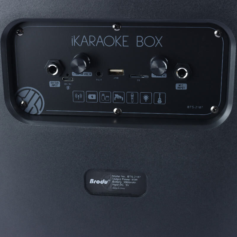اسپیکر بلوتوثی برودو BTS-2187 + میکروفون