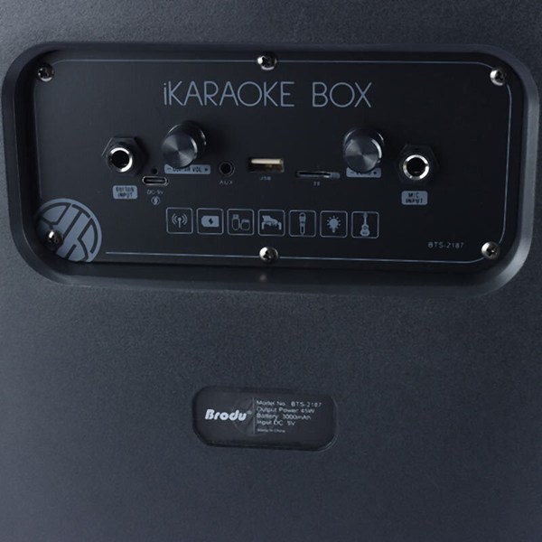 اسپیکر بلوتوثی برودو BTS-2187 + میکروفون