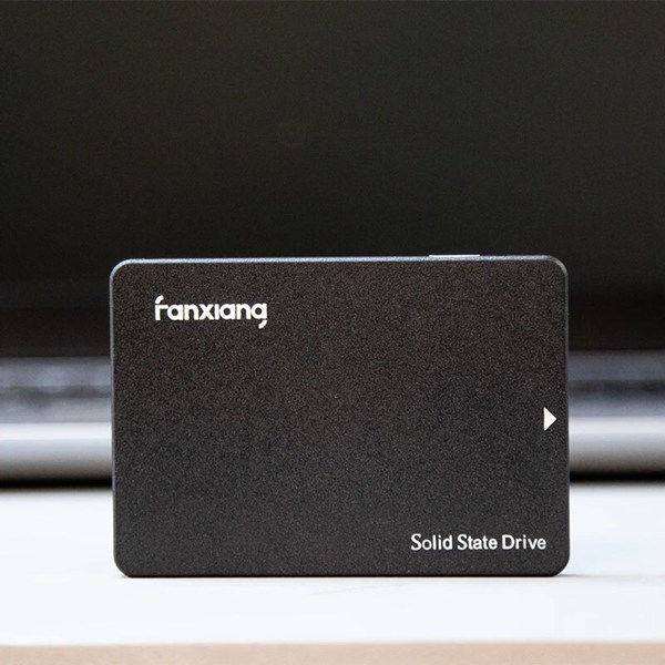 حافظه SSD فانشیانگ Fanxiang S101 480GB