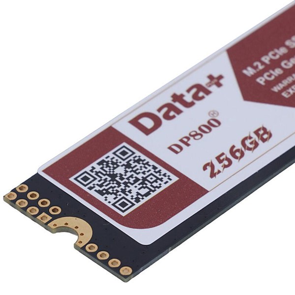حافظه SSD دیتا پلاس DATA+ DP800 256GB M.2