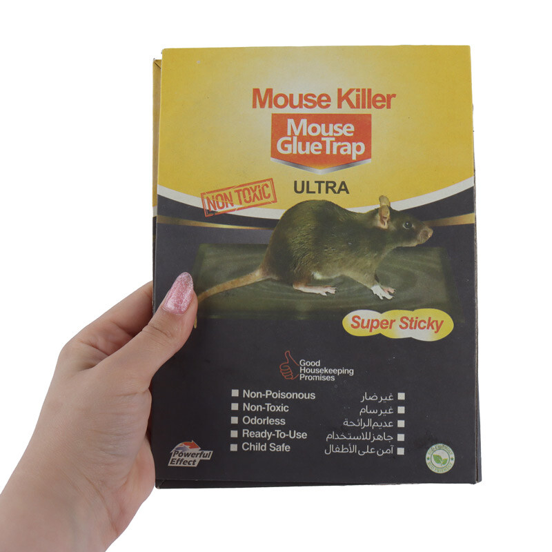 چسب تله موش کتابی Mouse Killer