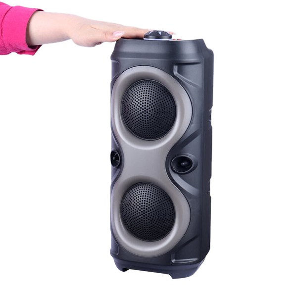 اسپیکر بلوتوثی سینگ ای ZQS42103XW + میکروفون