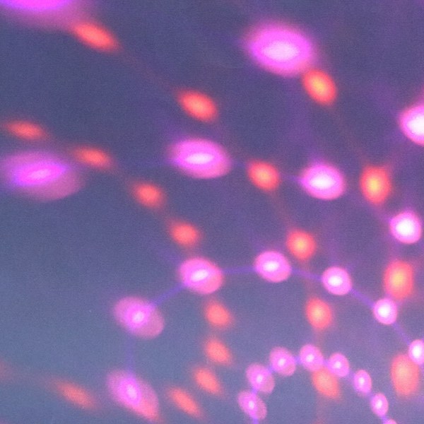 چراغ رقص نور گردان اسپیکر دار Dancing RGB LED