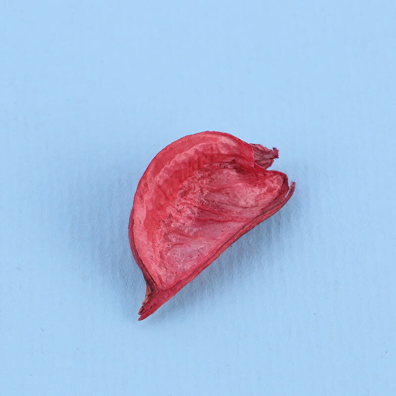 گل خشک تزئینی بسته 1 کیلویی