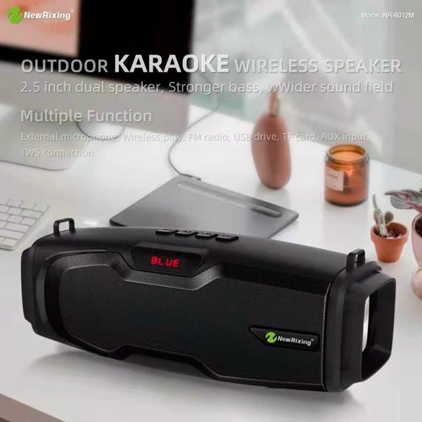 اسپیکر بلوتوثی نیو ریکسینگ NR-6012M + میکروفون