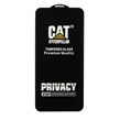 محافظ صفحه نمایش شیشه ای Full Cover Privacy Caterpillar - ESD مدل Samsung Galaxy A14 / M14 / F14 / A22 5G  - مشکی (بدون پک)