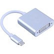 تبدیل Type-C به DVI پی نت
