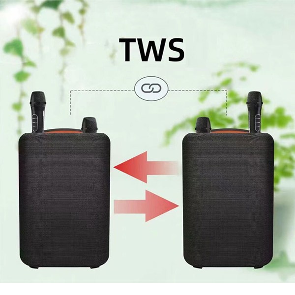 اسپیکر بلوتوثی ABS-6205 + میکروفون