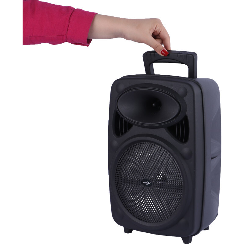 اسپیکر بلوتوثی گریت نایس GTS-2385 + میکروفون
