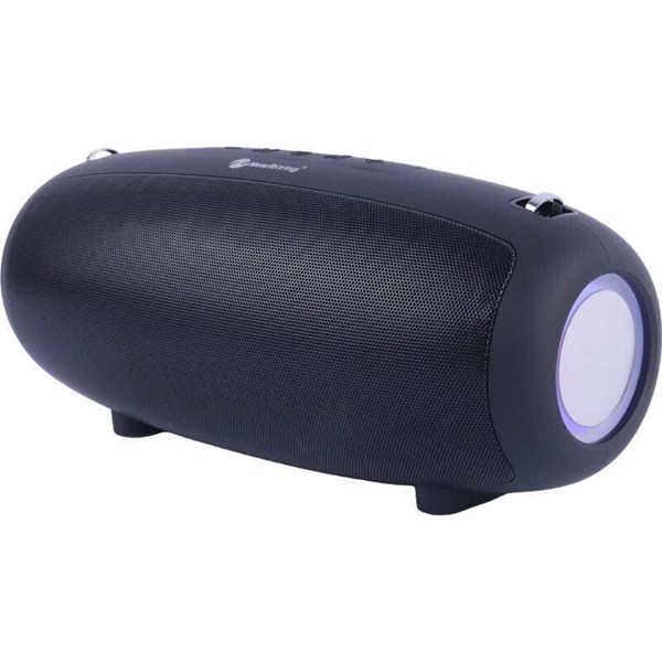 اسپیکر بلوتوثی نیو ریکسینگ NR-6018M + میکروفون