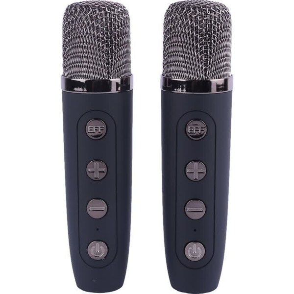 اسپیکر بلوتوثی نیو ریکسینگ NR-8805 + میکروفون