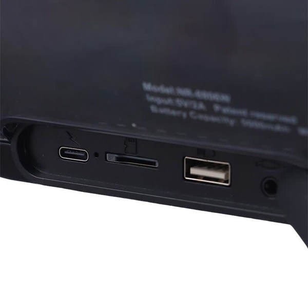 اسپیکر بلوتوثی نیو ریکسینگ NR-8806W + میکروفون