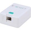 کیستون باکس دی نت CAT5e