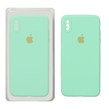 قاب سیلیکونی پاک کنی محافظ لنزدار اورجینال Apple iPhone X Max / iPhone XS Max - سبز روشن (پک دار)