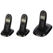 تلفن بیسیم Motorola C1213 TRIO