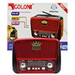 رادیو اسپیکر رم و فلش خور GOLON RX-BT 455S
