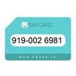 919-0026981 سیم کارت رند بدون پوکه