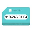 919-2430104 سیم کارت رند بدون پوکه