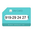 919-2924271 سیم کارت رند بدون پوکه