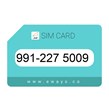 991-2275009 سیم کارت دائمی طرح بیست