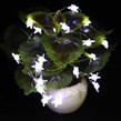 ریسه مفتولی طرح ستاره مهتابی طول 2.5 متر