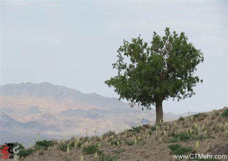 شاهکوه نهبندان استان خراسان جنوبی شاهکوه نهبندان استان خراسان جنوبی