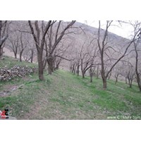 آبشار عالم زمین ساوجبلاغ استان البرز