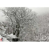 گردنه هزار چم طالقان استان البرز