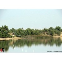 تالاب آق زیارت سلماس استان آذربایجان غربی