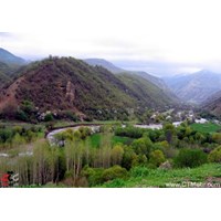 جنگل پردانان استان آذربایجان غربی