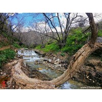 دره قاسملو ارومیه استان آذربایجان غربی
