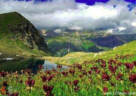 منطقه گردشگری دالامپر اشنویه استان آذربایجان غربی منطقه گردشگری دالامپر اشنویه استان آذربایجان غربی