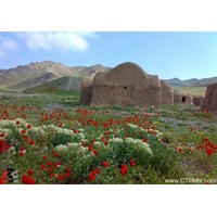 باغ کشمیر تربت جام استان خراسان رضوی