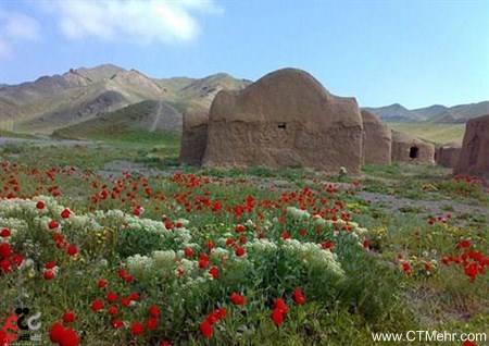 باغ کشمیر تربت جام استان خراسان رضوی