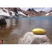 تنگل و بند استای تایباد استان خراسان رضوی