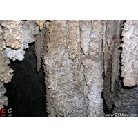 غارماپری تربت حیدریه استان خراسان رضوی