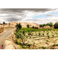 محوطه تاریخی جوزقان تایباد استان خراسان رضوی