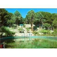 پارک جنگلی سید مرتضی کاشمر استان خراسان رضوی