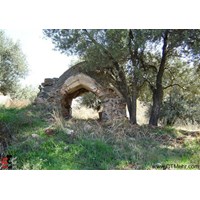 آتشکده گیلوان طارم استان زنجان