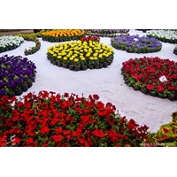 دهکده گل محلات استان مرکزی