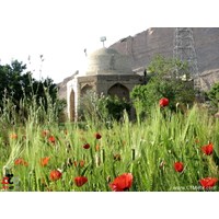 امامزاده یحیی (ع) نراق استان مرکزی