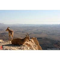 منطقه حفاظت شده هفتاد قله اراک استان مرکزی