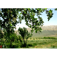 مزرعه کتی گربین سمیرم استان اصفهان