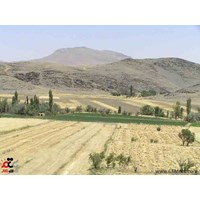 روستای برجک خمین استان مرکزی